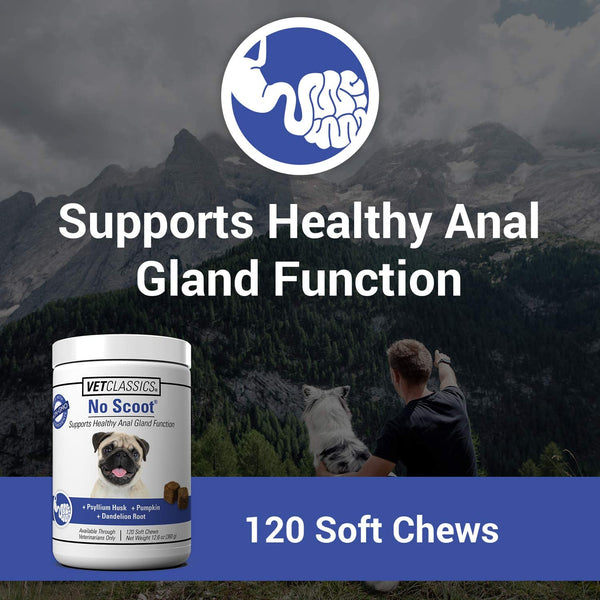 No Scoot for Dogs, Healthy Anal Support - 120 Soft Chews | No Scoot Chews for Dogs - Supports Healthy Gland Function, Normal Bowel Functions, Increases Daily Fiber Intake2