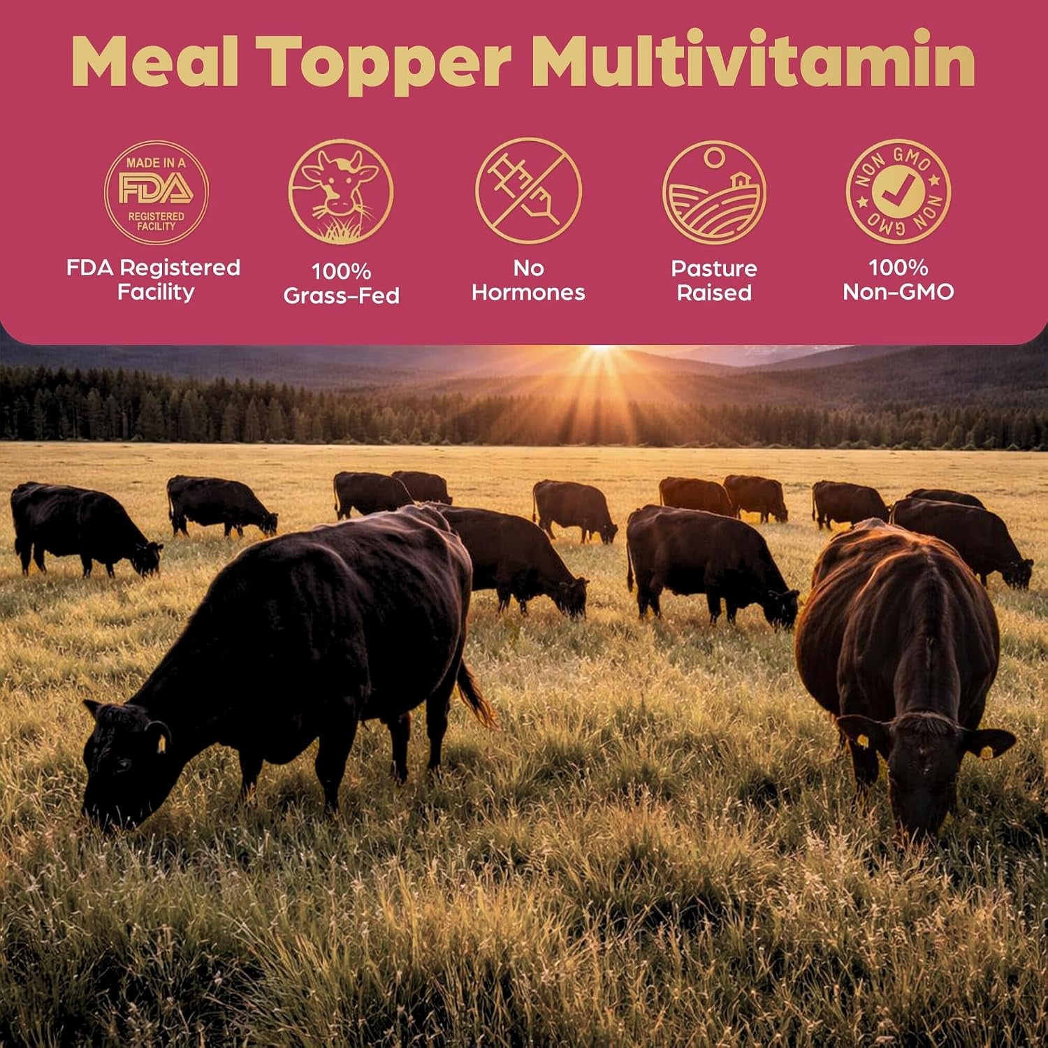 beef-organ-bone-broth-meal-topper-for-dogs-100-grass-fed-veterinarian-approved-non-gmo-by-brothhh-supports-immunity-joint-heart-health-vision-vitality-no-fillers-pet-supplement