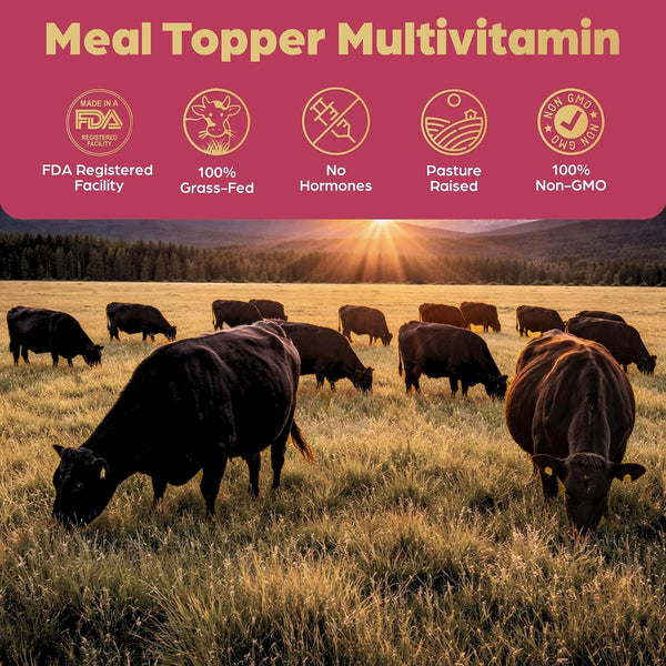 Beef Organ Bone Broth Meal Topper for Dogs - 100% Grass Fed - by Brothhh | Veterinarian Approved, Non-Gmo, No Fillers, Supports Immunity, Joint & Heart Health, Vision & Vitality8