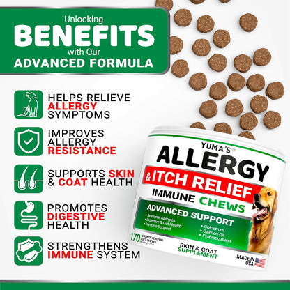 Dog Allergy Relief Chews - Dog Itching Skin Relief Treatment Pills - 170 Treats - Anti-Itch Chewables - Itchy and Paw Licking - Hot Spots - Omega 3 Fish Oil - Dry Skin & Coat Supplement2
