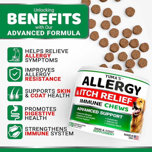 Dog Allergy Relief Chews - Dog Itching Skin Relief Treatment Pills - 170 Treats - Anti-Itch Chewables - Itchy and Paw Licking - Hot Spots - Omega 3 Fish Oil - Dry Skin & Coat Supplement2