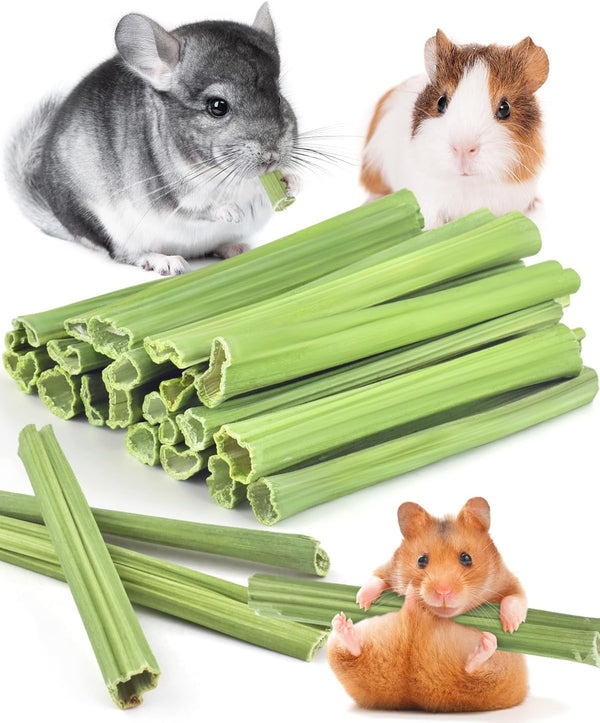 Bissap 35PCS Rabbit Chew Sticks, Natural Papaya Stems Bunny Chews Treats for Rabbit Hamster Chinchilla Guinea Pig Small Animals Organic Molar Chewing Snack8