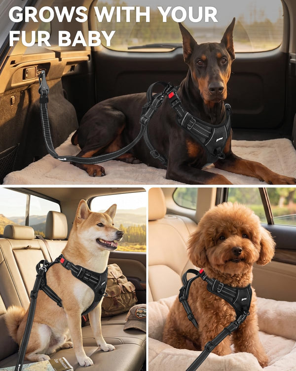 Joytale 3-In-1 Bungee Dog Seat Belt for Car, Medium and Large Dogs, Black | Seatbelt Buckle, LATCH, Cargo Hook, Shock-Absorbing, 360° Swivel Slide-To-Lock Zinc Buckle, for Distraction-Free Driving6