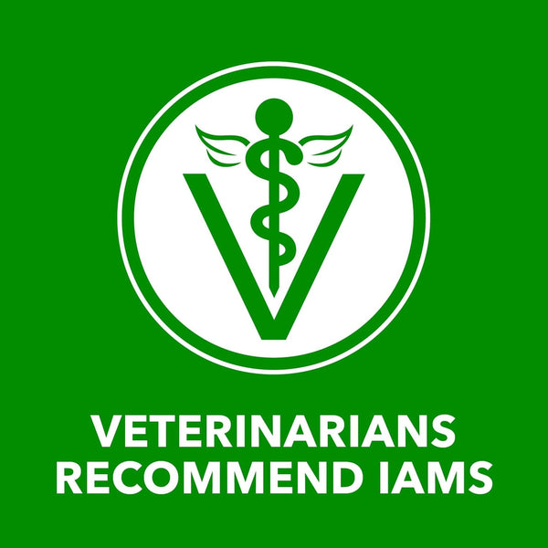 IAMS Proactive Health Pack Wet Dog Food, Beef & Chicken, 13 Oz, 12 Pack | Chunks in Gravy, Omega 6 Fatty Acids, Supports Healthy Skin, Muscles & Digestion, 13 Oz. Cans, No Artificial Flavors9