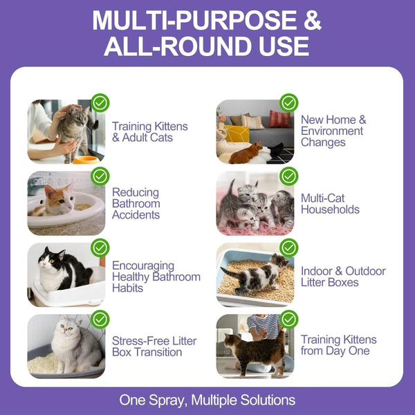 Cat Litter Training Spray – 150Ml Natural Attractant for Cats & Kittens – Helps Guide Proper Litter Box Use – Indoor Toilet Training Aid5