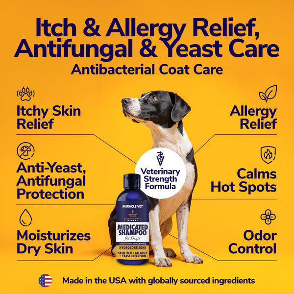 Miracle Vet Medicated Dog Shampoo for Itchy Skin Relief - Antifungal for Dog Allergy Relief, Yeast Infection, Hot Spot & Dry Skin Anti-Itch Treatment Wash - Hydrocortisone (16 Oz)2