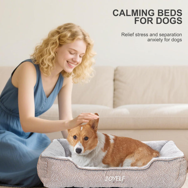 JOYELF Rectangle Dog Bed Calming Pet Bed, anti Anxiety Cat Bed & Sofa, Cute Plush Pet Bed for Small Dog and Cat- Small(Upgraded Version)7