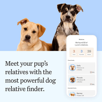 Wisdom Panel Essential Dog DNA Testing Kit - Most Accurate Test for 430+ Dog Breeds, 30 Genetic Health Conditions, 50+ Traits, Relatives, Ancestry, 1 Pack7