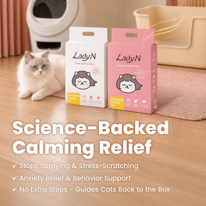 Welcome Home Cat Kit – Attractant Granular Tofu Litter & Deodorizer for Automatic Boxes | Strong Clumping, Odor Control, Easy Cleanup3