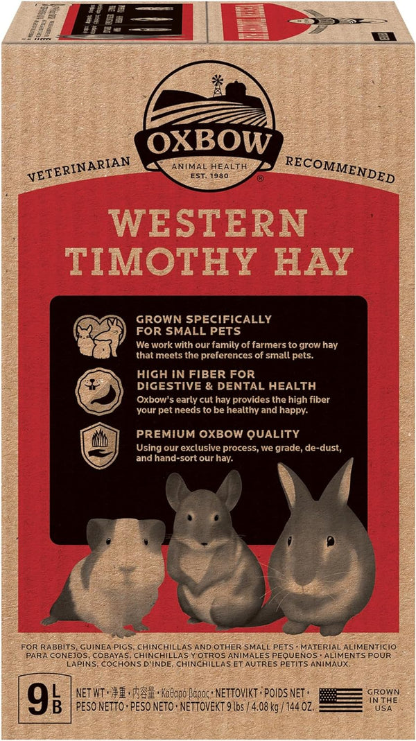 Oxbow Western Timothy Hay, Guinea Pig Hay, Small Pet Bunny Supplies, All Natural Grass for Guinea Pig, Bunny, Chinchilla & Hamster, Oxbow Rabbit Supplies for Bunnies, 9 Lb Box | Oxbow Timothy Hay, Bunny Hay for Rabbits, Guinea Pigs, Bunnies and Chinchillas, Hand-Sorted, De-Dusted, Made in USA16