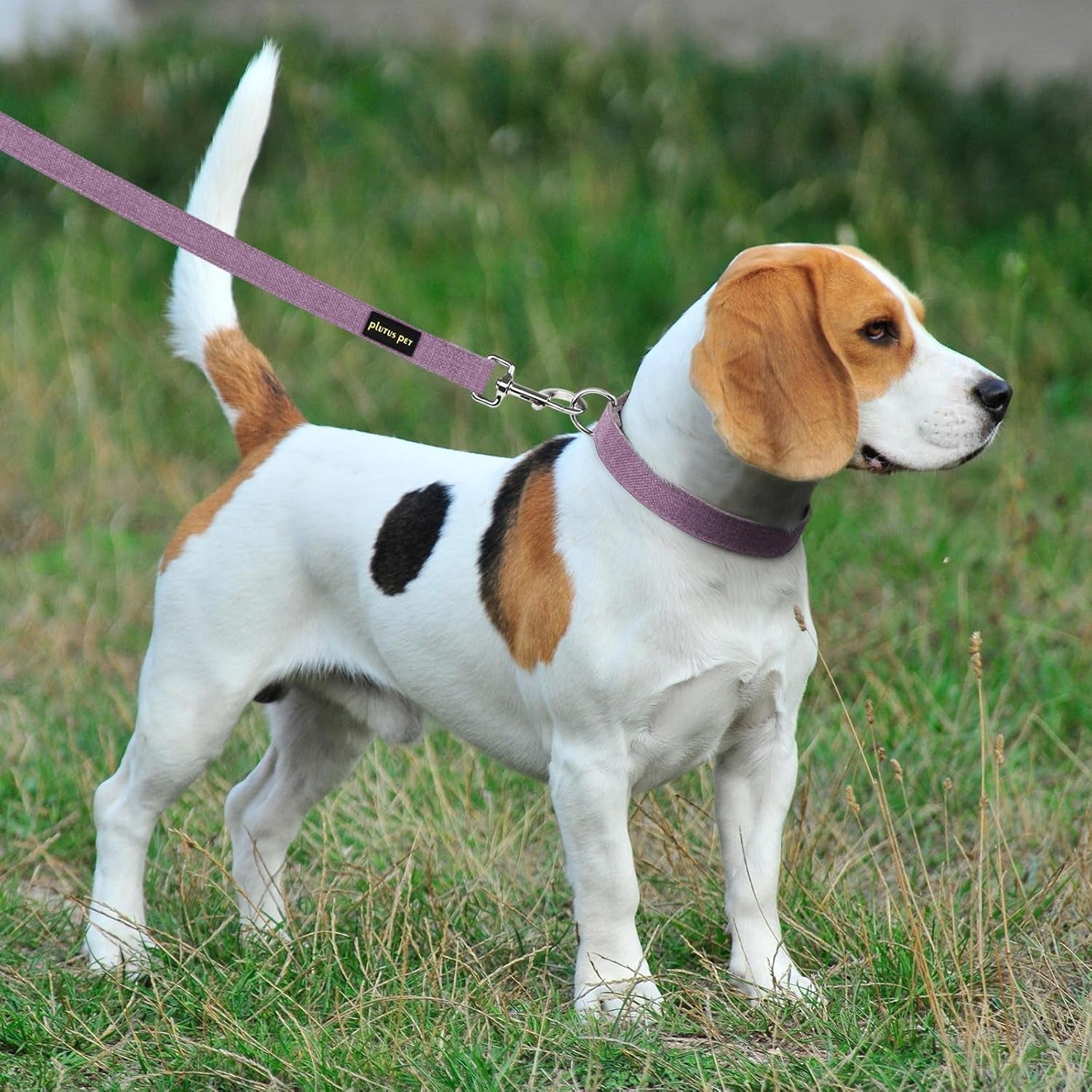 plutus-pet-cotton-hemp-dog-collar-and-leash-set-adjustable-collar-for-small-medium-and-large-dogs-heavy-duty-and-soft-on-skin-lavender-s
