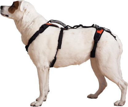 Help 'Em Up® - Dog Lift Harness│ Adjustable Lifting Harness for Dogs │ Full Body Support, Rear Leg Support (Conventional, Medium, 45-80 Lbs)1