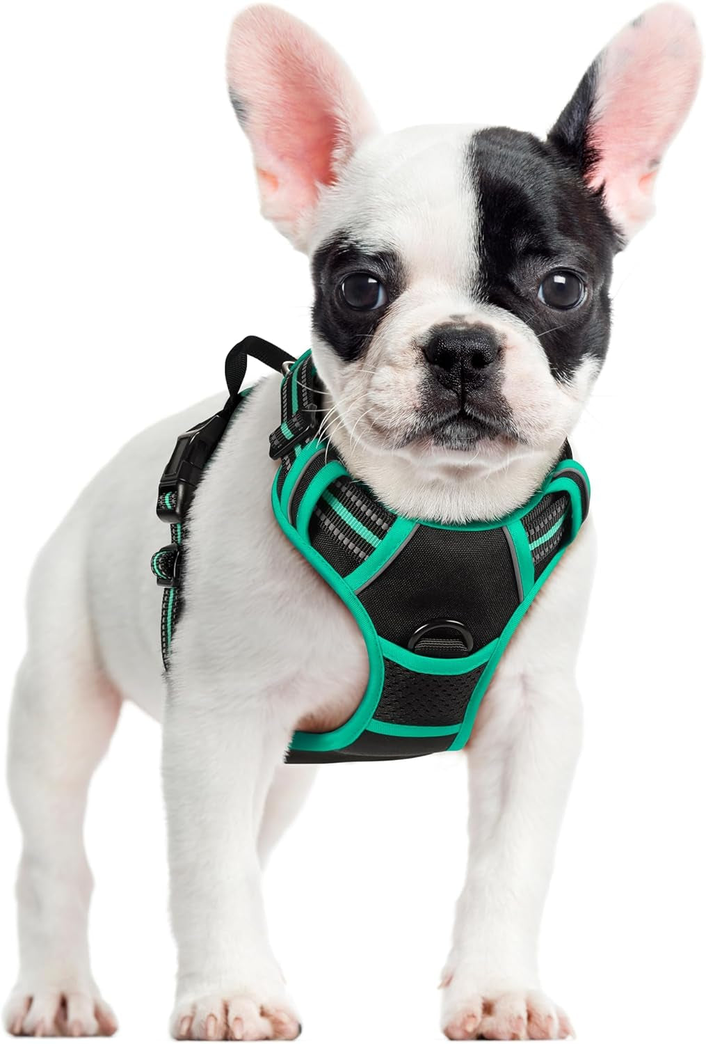 rabbitgoo-dog-harness-no-pull-for-large-dogs-with-2-leash-clips-pet-vest-no-choke-with-handle-adjustable-soft-padded-reflective-easy-control-for-walking-black-large