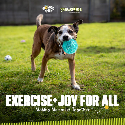 Gnawsome™ 4.5” Spiky Squeaker Ball Dog Toy - Extra Large, Cleans Teeth and Promotes Good Dental and Gum Health for Your Pet, Colors Will Vary, 4.5"8