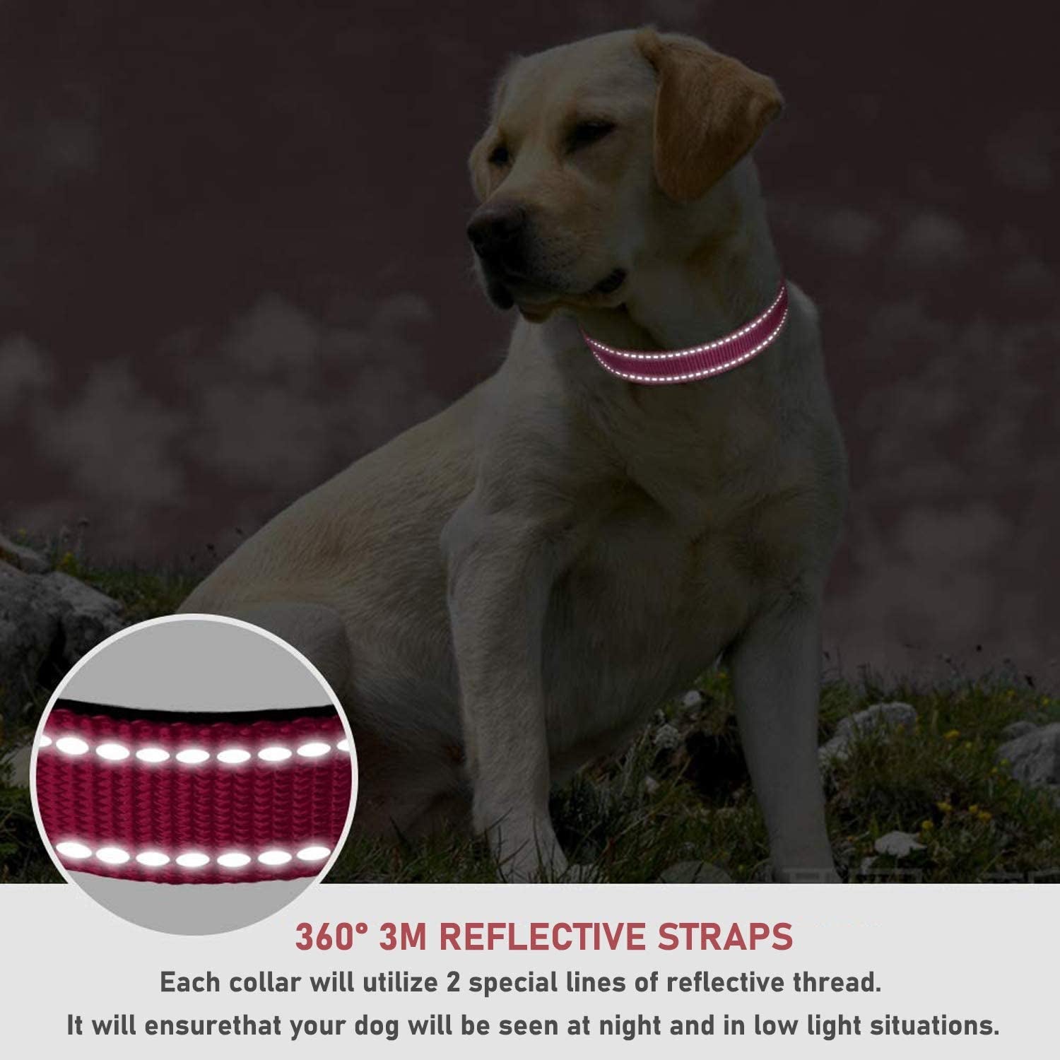 reflective-dog-collar-with-buckle-adjustable-safety-nylon-collars-for-small-medium-large-dogs-pink-m-breathable-nylon-collars-for-small-medium-large-dogs-no-chafing-on-walks-and-outdoor-hikes-metal-d-ring-night-safety