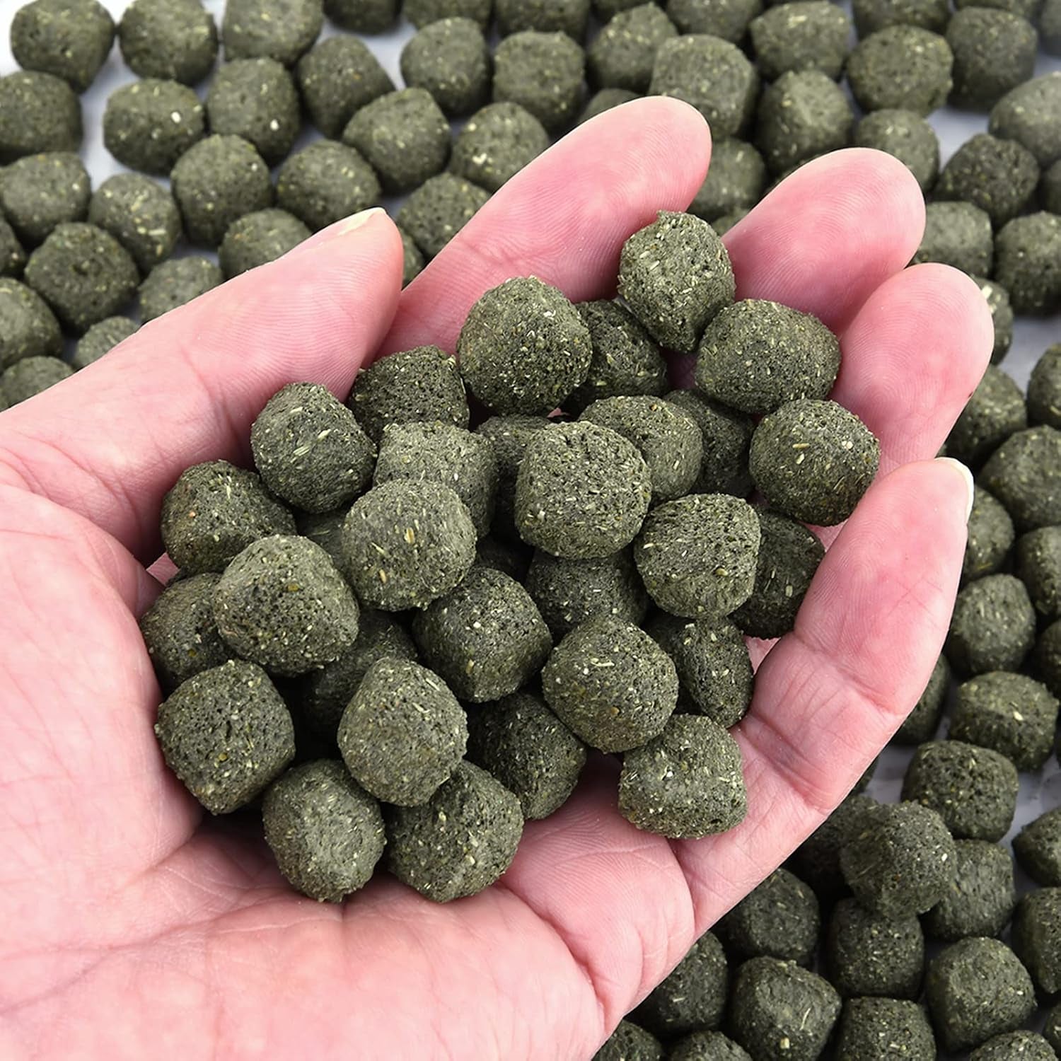 timothy-hay-cubes-6oz-small-pet-feed-100-natural-timothy-hay-cubes-specially-for-rabbits-sulcata-tortoises-guinea-pigs
