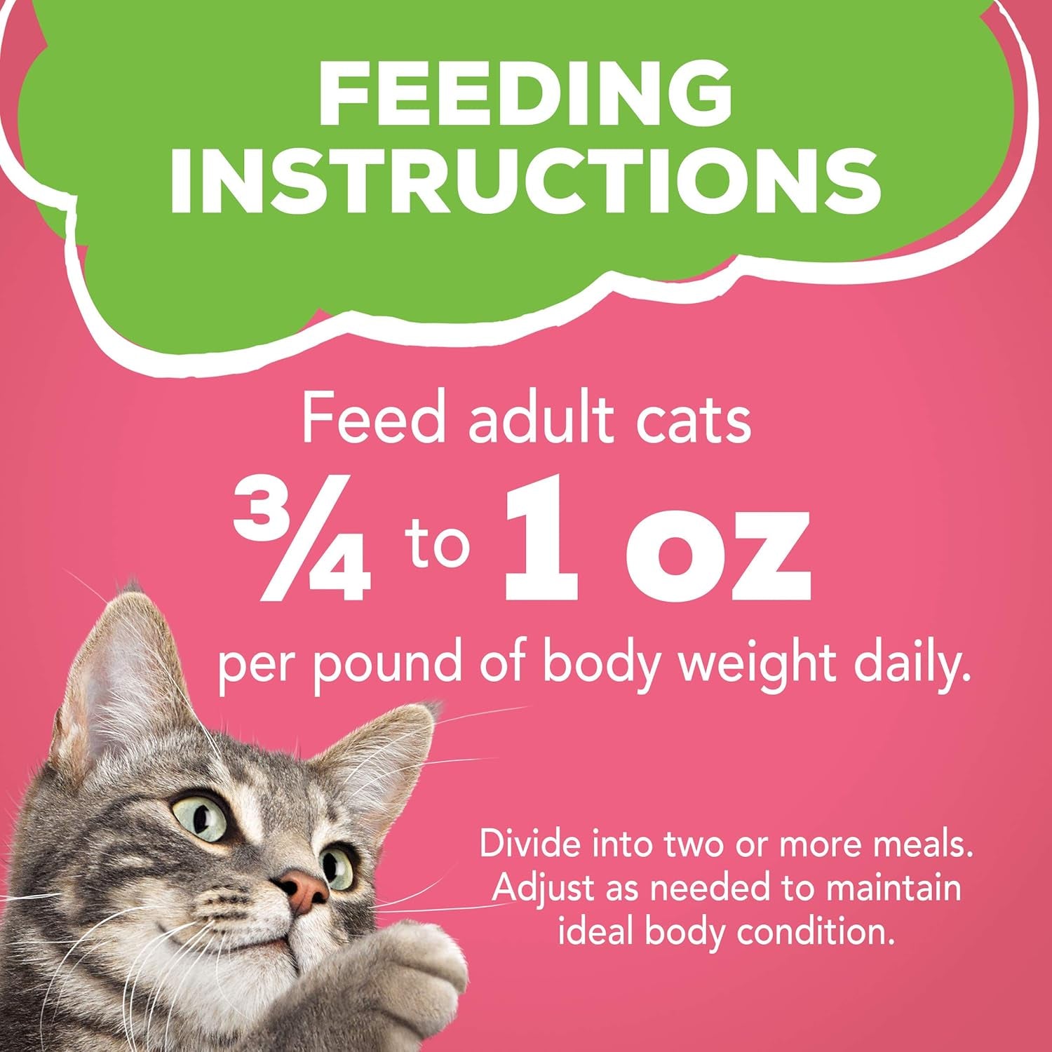 purina-friskies-wet-cat-food-pate-pate-salmon-dinner-pack-of-24-5-5-oz-cans