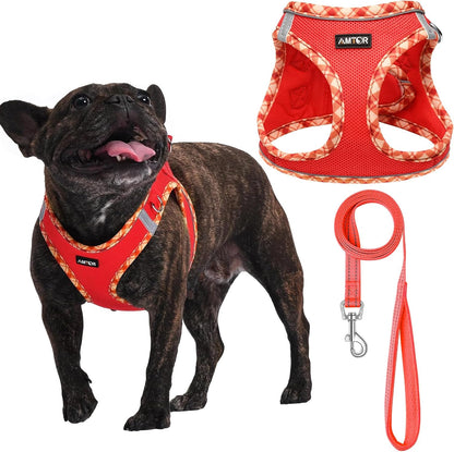 AMTOR Small Dog Harness with Leash Set, No Escape Easy Walk Puppy Harnesses for Training Walking, Step-In Reflective Soft Dogs Vest for XS S Medium Extra-Small Large Sized Dog(Green,S)12