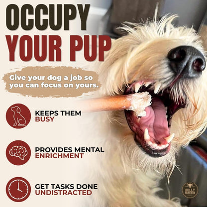 Bully Bunches Premium (6" Standard - 5 Pack) Odor-Free Bully Sticks for Small to Medium Dogs & Puppies - Consistently Sized, Long Lasting Chews for Oral Care - All Natural, 100% Beef Dog Treats3