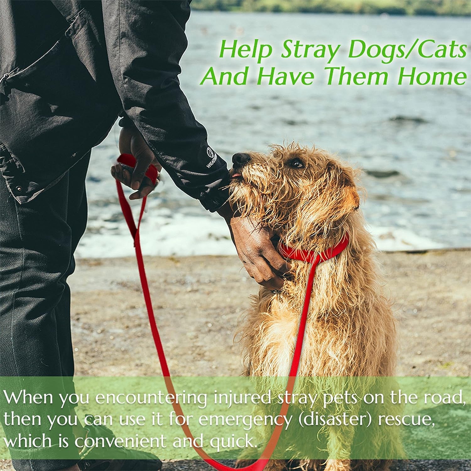 slip-lead-dog-leash-6-pcs-short-pet-leashes-slip-leads-for-dogs-cats-grooming-shelter-rescues-walking-training-etc-6-ft-strong-pulling-dog-leash-with-o-ring