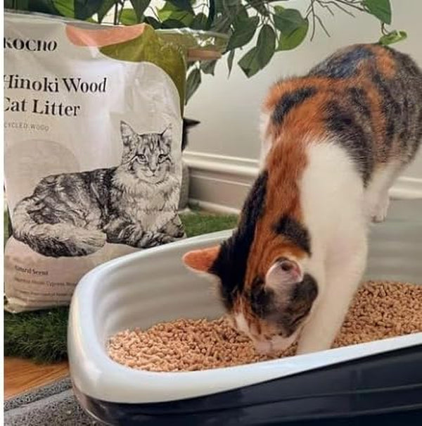 KOCHO Hinoki Wood Cat Litter Ultra Lightweight, Fresh Scent of Japanese Cypress (7Pcs Pack (23.8LB))4