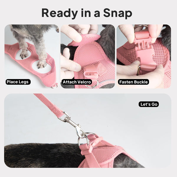 Small Dog Harness and Leash Set Breathable Step-In Puppy Cat Harness,Xs | Reflective for Safe Easy Walking,Soft Light Puppy Vest,Escape Proof,No Pull Harness for Dogs,All Weather Air Mesh Harness9
