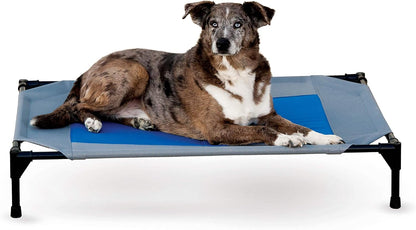 K&H Pet Products Coolin' Pet Cot, Outdoor Cooling Elevated Dog Cot for Large Dogs, Raised Bed with Cool-Core Center, Portable Pet Platform with Heavy-Duty Metal Frame - Large Gray/Blue11