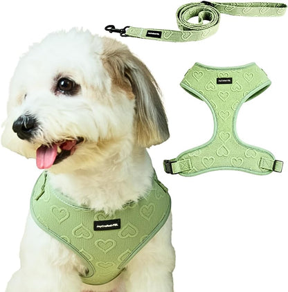 No Pull Harness & Leash Set for Small Sized Dogs, Soft Padded Breathable Neoprene Harnesses, Lightweight Adjustable Step-In Vest with Cute Heart Print & Secure Back D-Ring, Neck 13-17", Chest 16-21"10