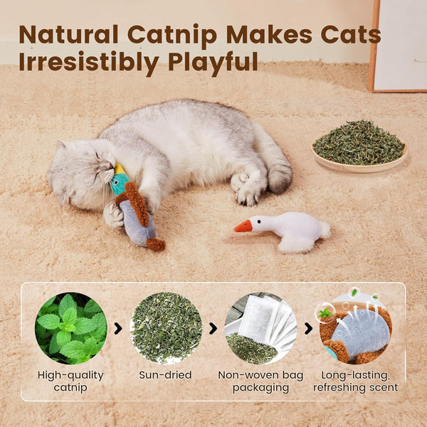 Potaroma Birds Cat Toys, 2 Pack Catnip Toys Soft Durable | Crinkle Sound Kicker Toys for Interactive Indoor Kitten Exercise 6.5 Inches for All Breeds3