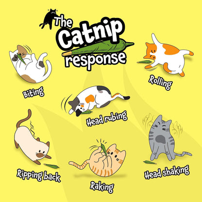 LIT LABS Catnip Joint - 5 Organic Pre-Rolls Papers to Fix a Bad Cattitude - Funny Cat Toy for Indoor Cats with Existential Dread7
