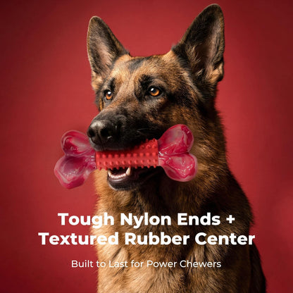 Tough Dog Toys for Aggressive Chewers: Beef Flavored Long Lasting Dog Bones for Large Dogs, Indestructible Dog Chew Toys to Keep Them Busy, Large Dog Toys for Medium & Large Breed, Red2