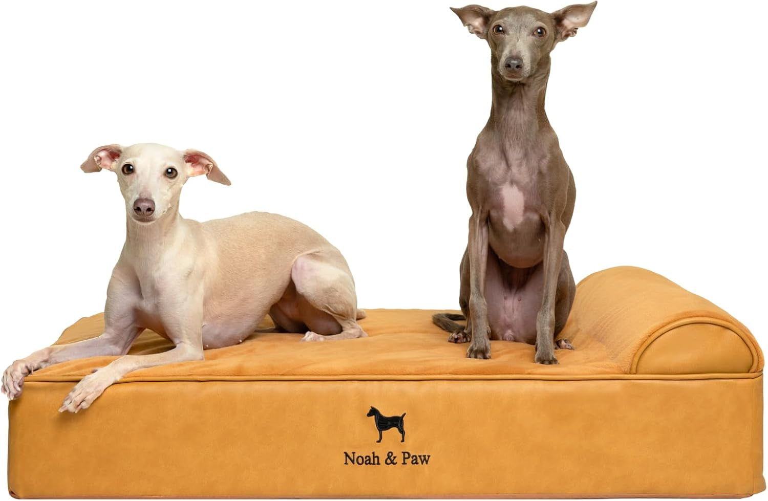 noah-paw-large-dog-bed-35x25x8-7-inch-orthopedic-dog-beds-eggshell-memory-foam-infused-with-cooling-gel-water-resistant-machine-washable-includes-inner-cover-velvet-collection
