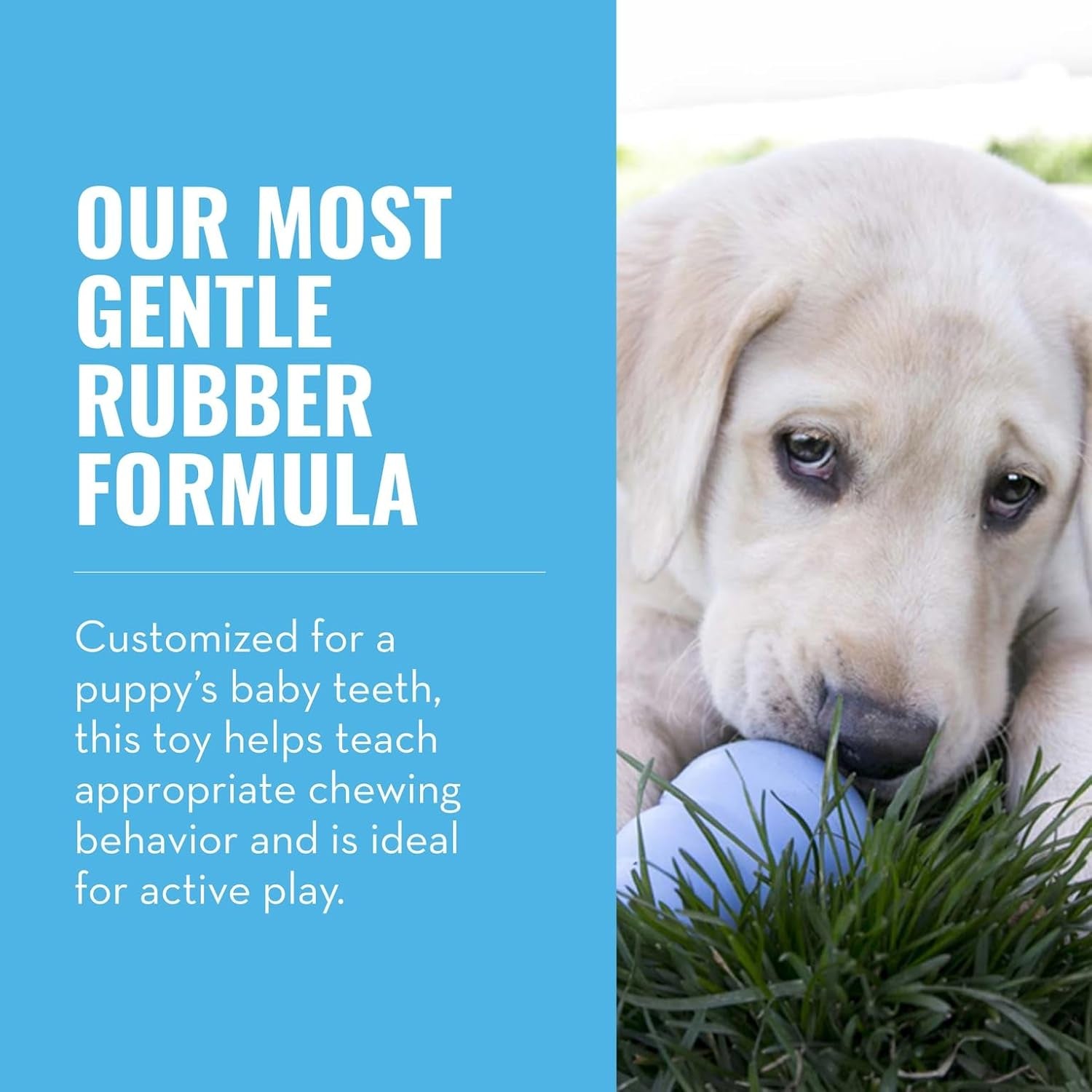 kong-puppy-natural-teething-rubber-chew-toy-for-dogs-stuffable-dog-toy-for-extended-playtime-chew-fetch-toy-for-puppies-for-small-puppies-blue