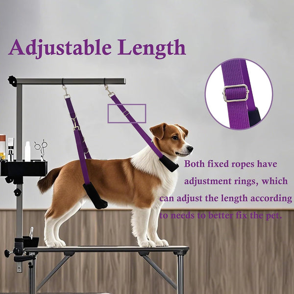 Pet Grooming Loop and Belly Strap for Dogs with Extension Strap, Nylon Restraint Noose Adjustable Slip Rope Dog Grooming Supplies for Dog Grooming Arm and Pet Grooming Table - 3 Pack3