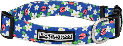 Lucky Love Dog - Easy Click Buckle Dog Collar with Leash Set Combo, Durable & Comfortable for Male & Female Dogs, Pet Collar for Medium Dogs, Secure Fit - Blackbird Combo, Medium41