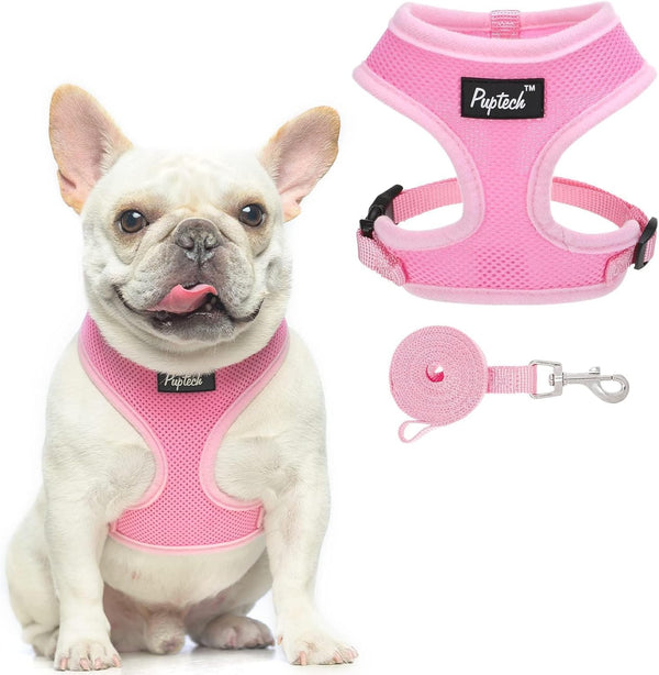 PUPTECK Soft Mesh Dog Harness Small Sized and Leash Set Pet Puppy Cat Comfort Padded Vest No Pull Harnesses, Beige, S29