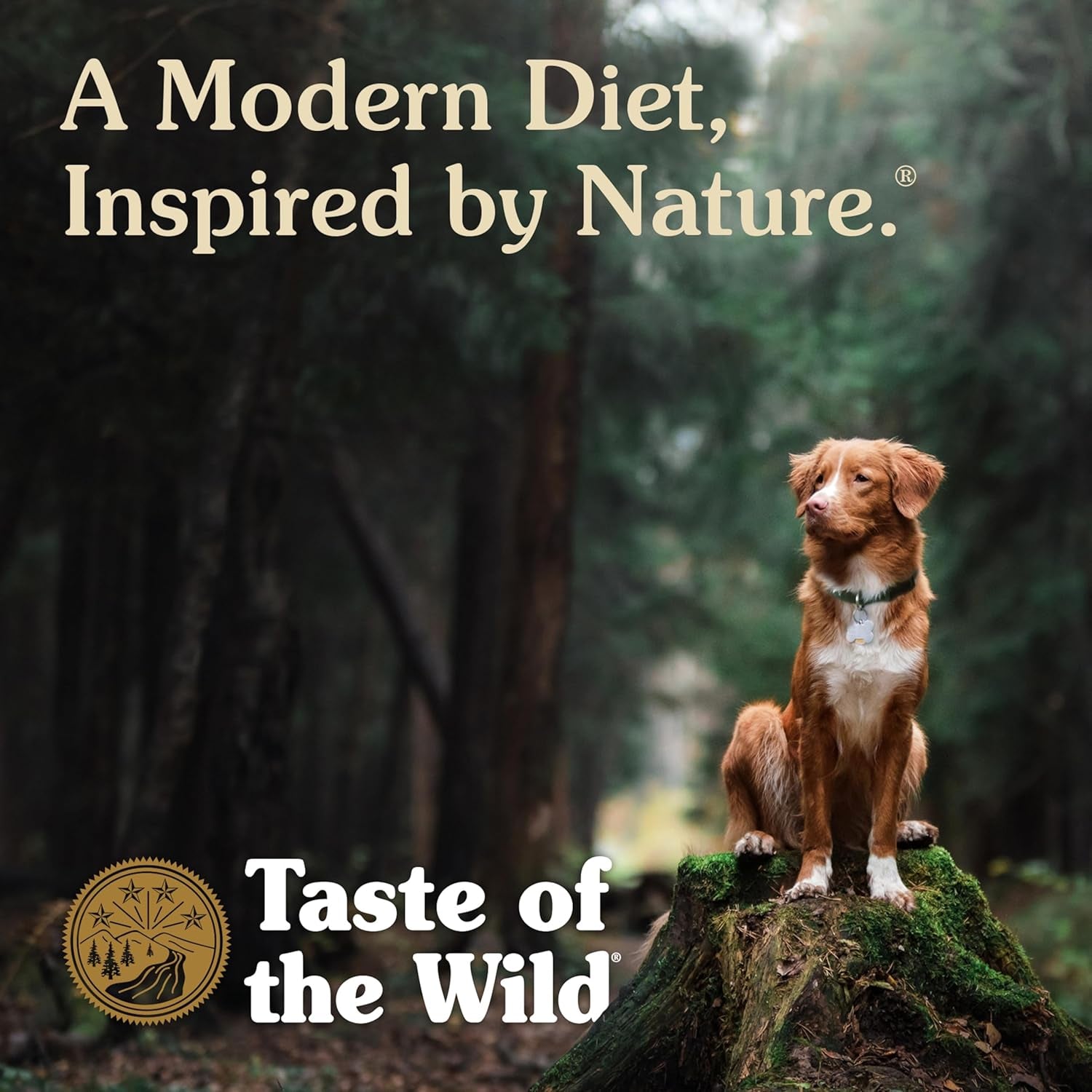 taste-of-the-wild-high-prairie-canine-grain-free-recipe-with-roasted-bison-and-venison-adult-dry-dog-food-made-with-high-protein-from-real-meat-and-guaranteed-nutrients-and-probiotics-28lb-high-protein-grain-free-recipe-nutrient-dense-to-help-support-peak-health-guaranteed-probiotics-for-digestive-health