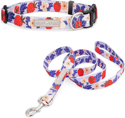 Lucky Love Dog - Easy Click Buckle Dog Collar with Leash Set Combo, Durable & Comfortable for Male & Female Dogs, Pet Collar for Medium Dogs, Secure Fit - Blackbird Combo, Medium40