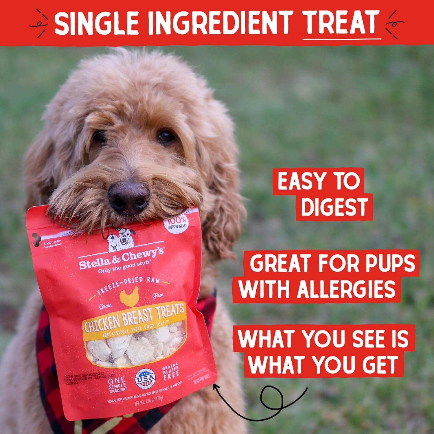 stella-chewys-freeze-dried-raw-chicken-breast-dog-treats-single-ingredient-no-additives-premium-training-treats-perfect-for-picky-eaters-2-75oz-bag