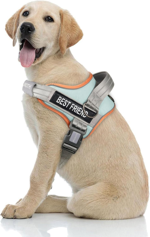 AUROTH Dog Harness and Leash Set, Soft Padded Service Dog Vest with 5.25FT Dog Leash, No Choke, Easy on Pet Vest, Adjustable Reflective No Pull Pet Vest Medium Sized Dog, Easy Walking and Training17