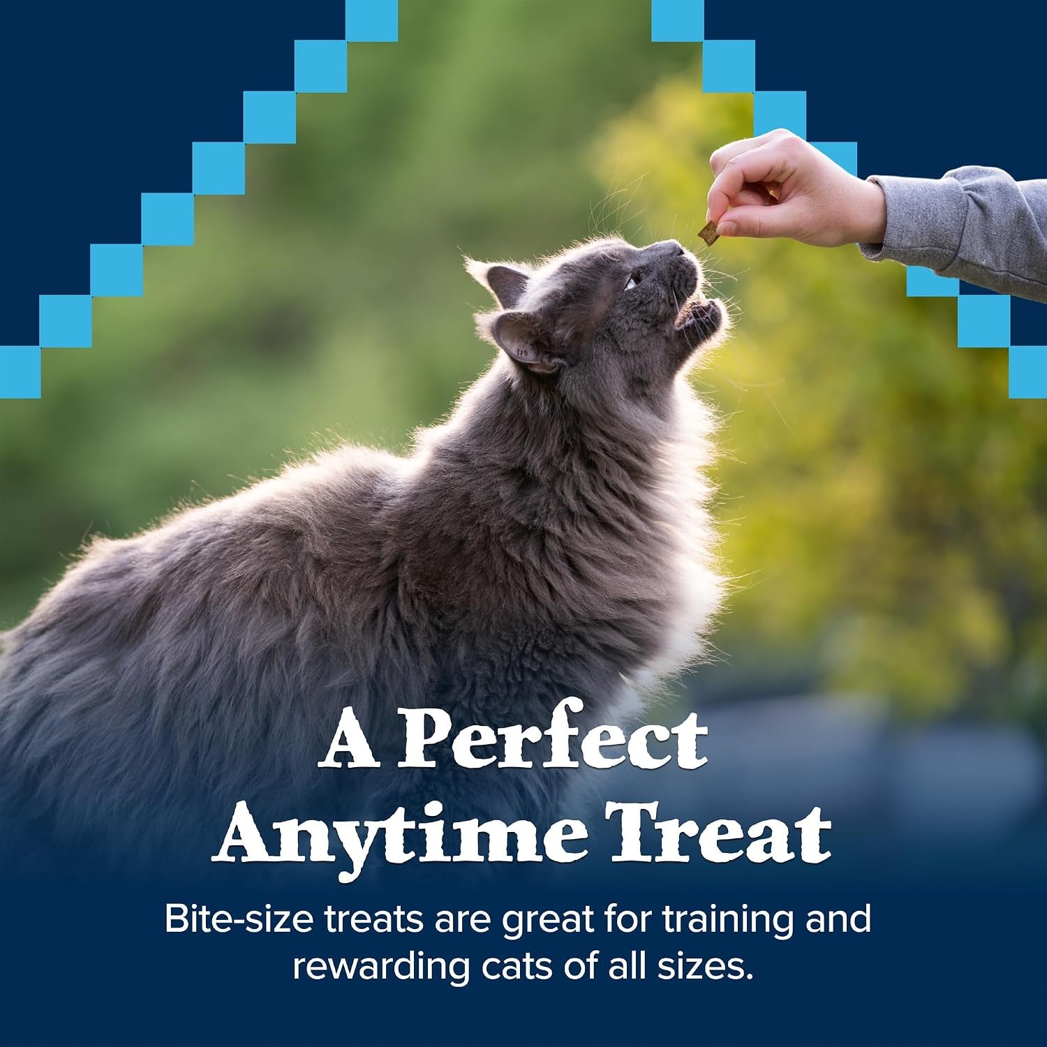 blue-buffalo-wilderness-soft-cat-treats-made-with-natural-ingredients-chicken-trout-recipe-2-oz-bag