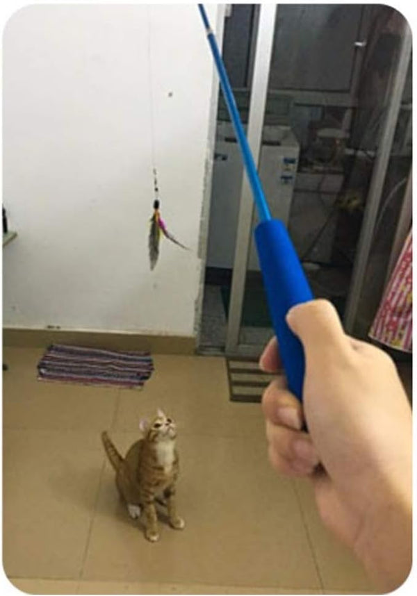 Retractable Cat Wand - Interactive 3-Section Teaser Toy, Fishing Pole Exerciser for Cats and Kittens (Replacement Not Included)5
