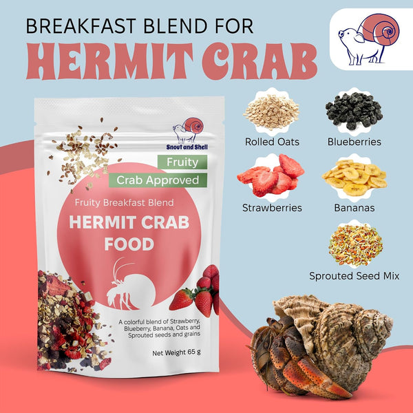 Natural Hermit Crab Food – High-Protein Hermit Food with Real Fruit and Sprouted Grains – 65 G (2.3 Oz) Crab Food for Pet Hermit Crabs by Snout and Shell5