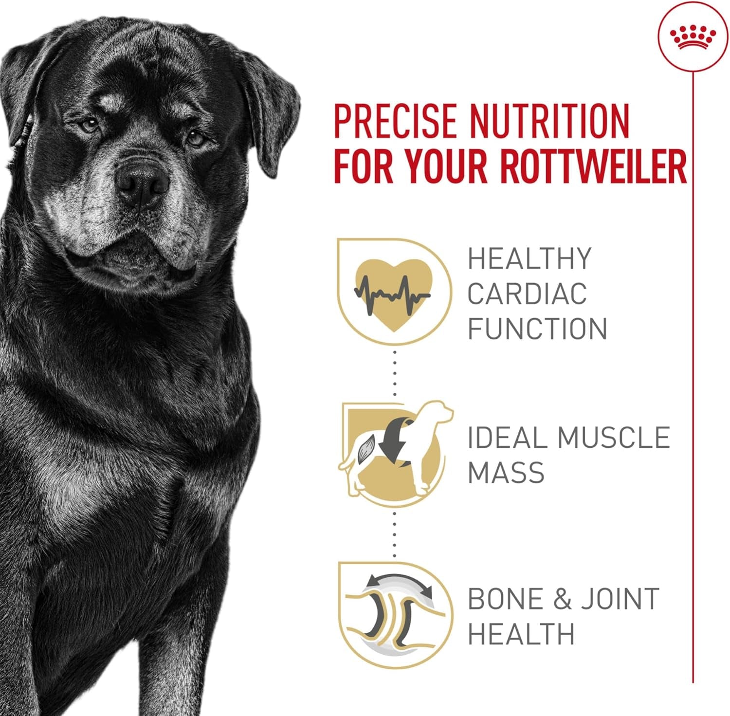 royal-canin-breed-health-nutrition-rottweiler-adult-dry-dog-food-30-lb-bag