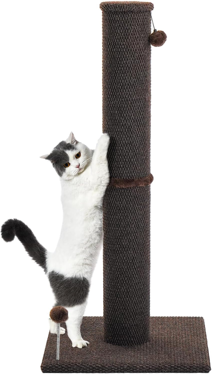 cat-craft-cat-scratching-post-carpet-scratching-post-41-for-indoor-cats-tall-cat-scratch-post-carpet-cat-scratcher-with-replaceable-toys-sturdy-base-large-gray-41in-tall-short-plush-scratch-post-stable-base-interchangeable-play-toys-for-indoor-cats-to-avoid-furniture-scratching
