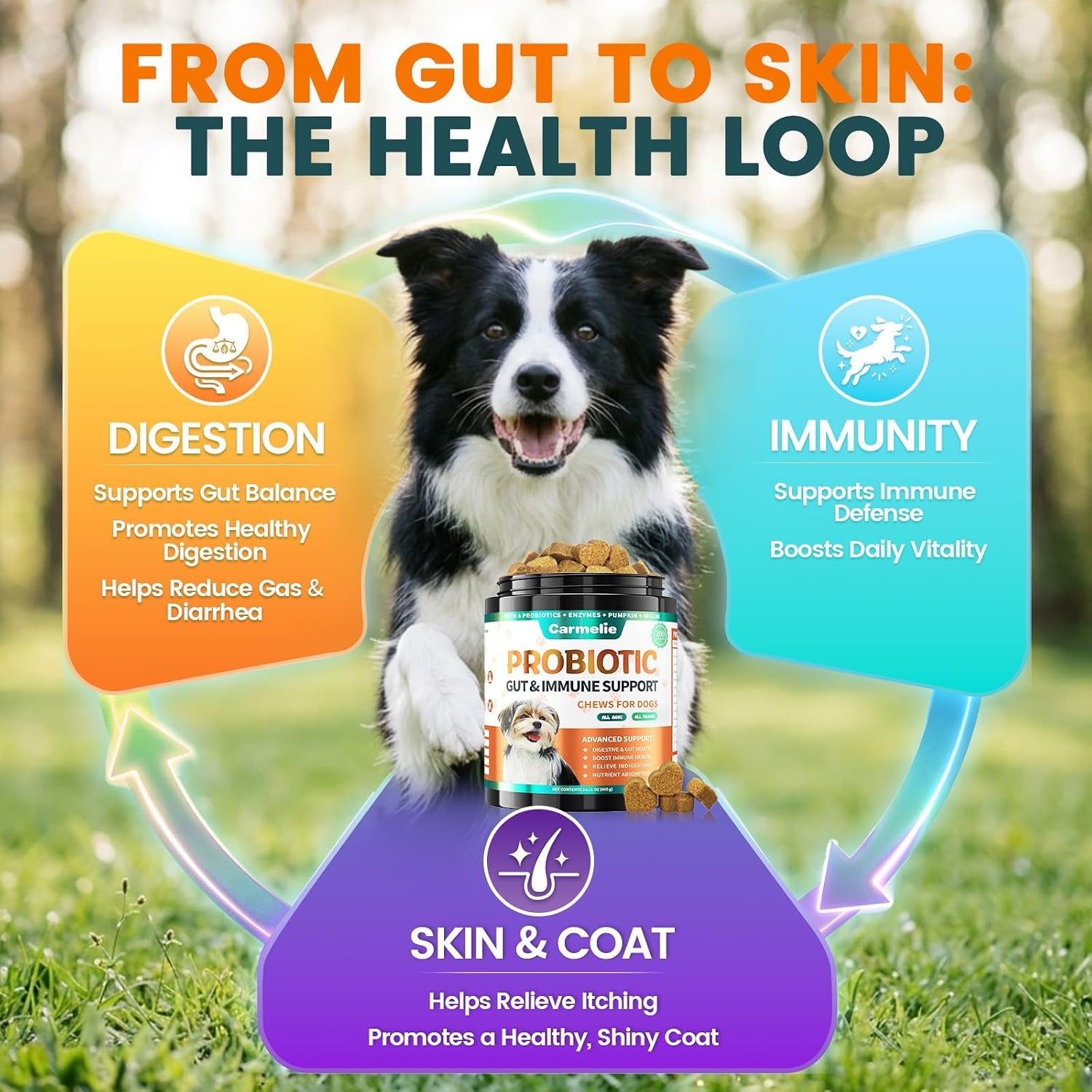 probiotics-for-dogs-gut-health-for-digestive-enzymes-200-chews-all-natural-probiotic-blend-to-support-yeast-itchy-skin-and-itchy-ears-allergies-immunity-diarrhea-gas-relief-chicken