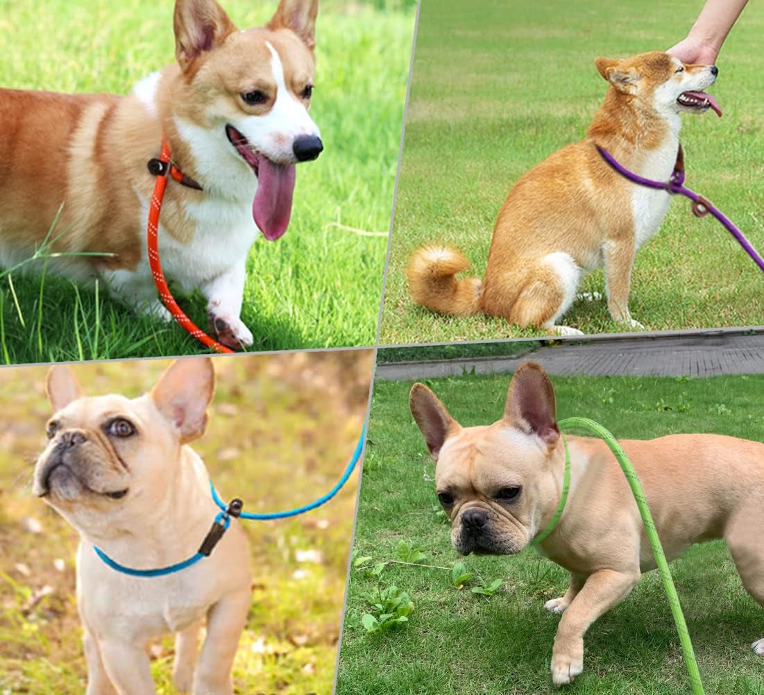 wyuze-8ft-slip-lead-dog-leash-adjustable-slip-collar-puppy-training-lead-2-pack-1-3-reflective-rope-leash-lightweight-easy-use-for-small-medium-dogs-no-pull-walking-black-orange
