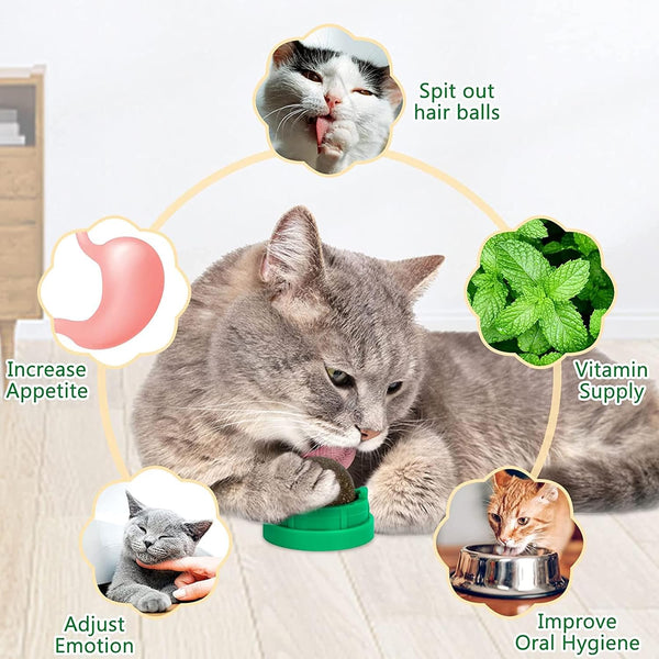 3 Pack Catnip Balls, Catnip Ball for Cats Wall, Edible Kitty Toys for Cats Lick, Safe Healthy Kitten Chew Toys, Teeth Cleaning Dental Cat Toys, Cat Wall Treats (1, Green)3