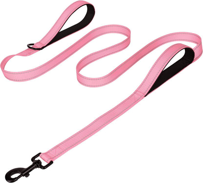 Joytale Reflective Dog Leash for Medium & Large Dogs, 6 FT X 1", Black | Heavy Duty Nylon Webbing, Padded Handle for Comfort, Visible at Night, for Walking & Training33