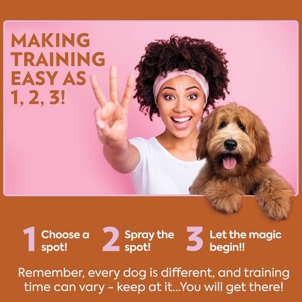OUT! Petcare Go Here Attractant, Potty Training Spray for Dogs, 32Oz | Dog Pee Spray, Puppy Potty Training, Housebreaking, Indoor & Outdoor, Pee Here Training, Training Aid, Easy Application6